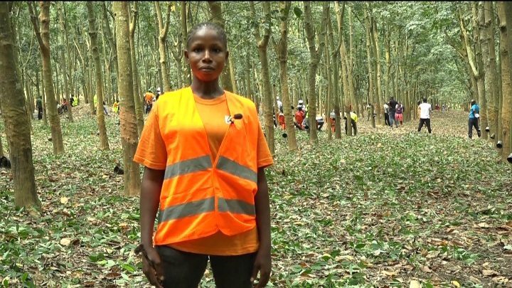 Concours du meilleur saigneur de Côte d'Ivoire 2020