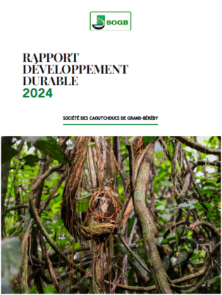 rdd2024cover