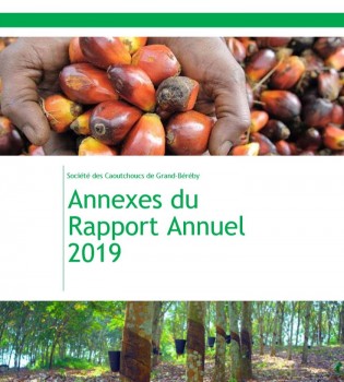 2020-05-28annexera-ag-sogb